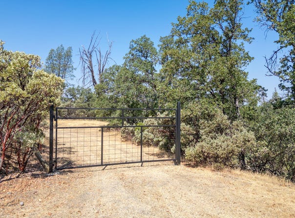 20 Acres Rolling Ridge Road, Cottonwood, CA 96022