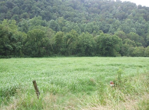 Hueysville, KY 41640
