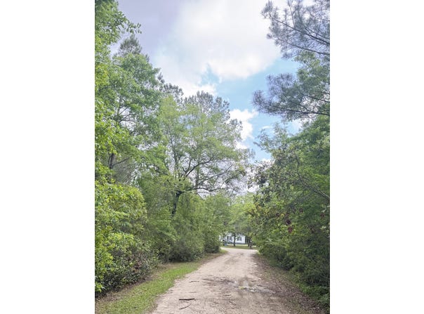 470 Weans Road, Walterboro, SC 29488