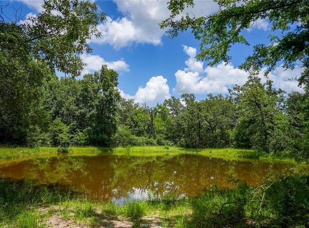 2349 North CR 481 County Road, Centerville, TX 75833