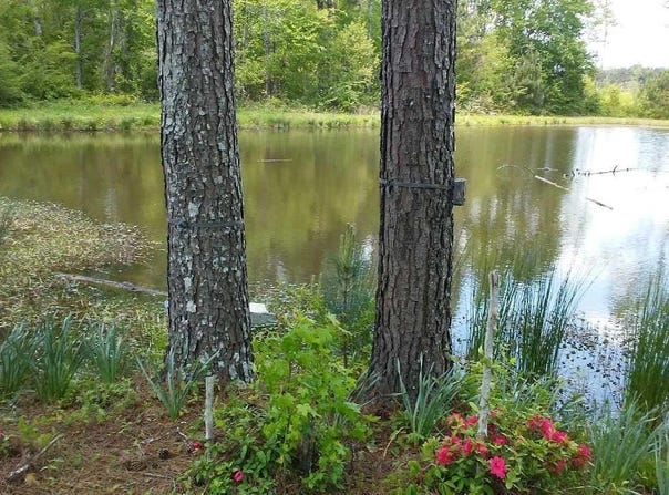 Co Rd 1069, Vinemont, AL 35179