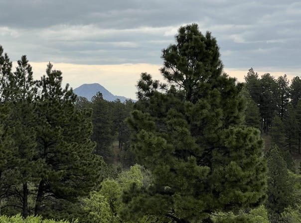 Lot 20 Summit Pass, Whitewood, SD 57793