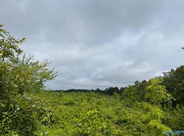 Tract 4 Tom Cat Road, Gadsden, AL 35903
