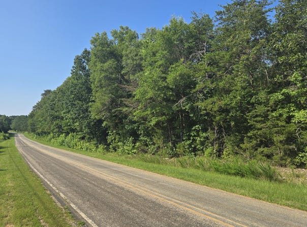 00 Robert Morgan Road, Bullock, NC 27507