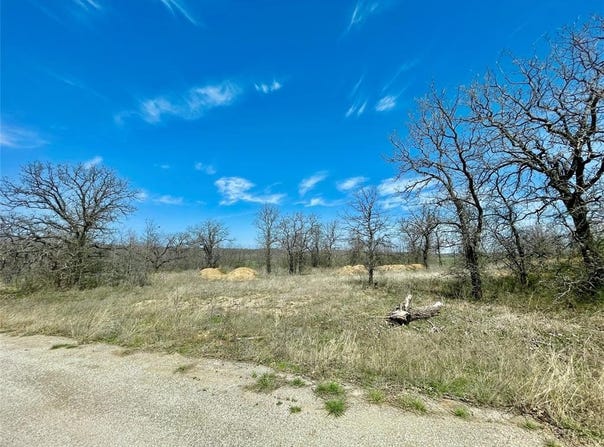 Tbd Lark Meadow Drive, Bridgeport, TX 76426