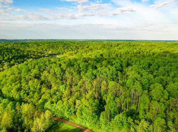 0 E Little Forest Run Rd., Reedsville, OH 45772