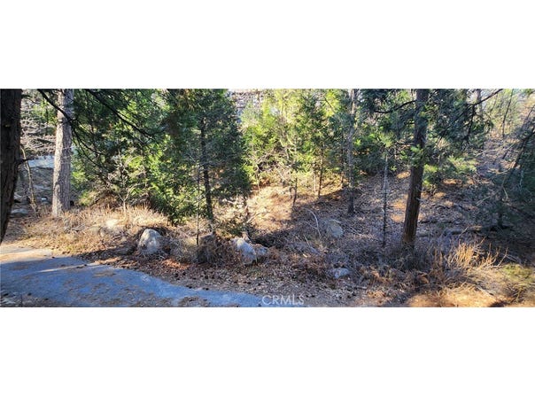 0 MEADOW Drive, Lake Arrowhead, CA 92352
