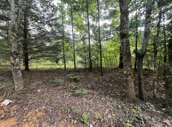 0 Co Rd 521, Anderson, AL 35610