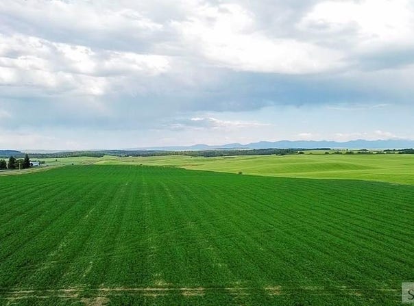 Tbd E 1400 N, Ashton, ID 83420