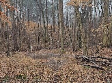 0 Bowers Road, Lexington, NC 27292