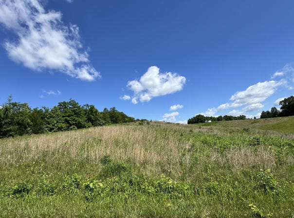 Tract Kiersten Drive, Nancy, KY 42544