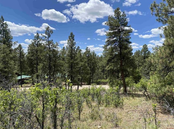 124 Granada Drive, Pagosa Springs, CO 81147