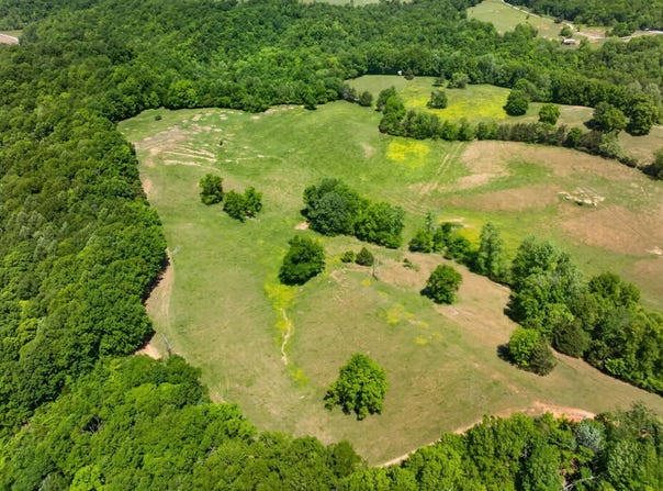 127.57Ac Homer Watson Rd, Burkesville, KY 42717