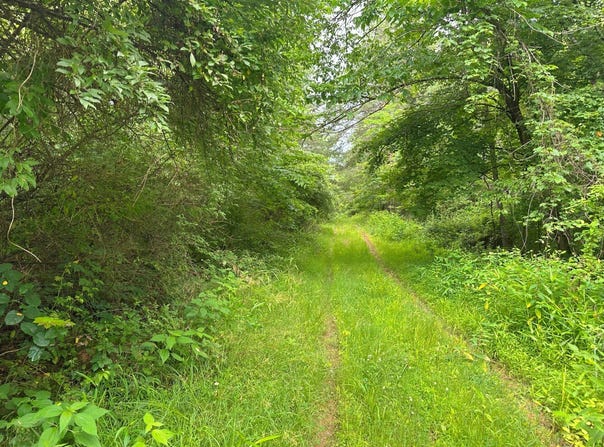 0 Haught Run Rd (Rear), New Matamoras, OH 45767