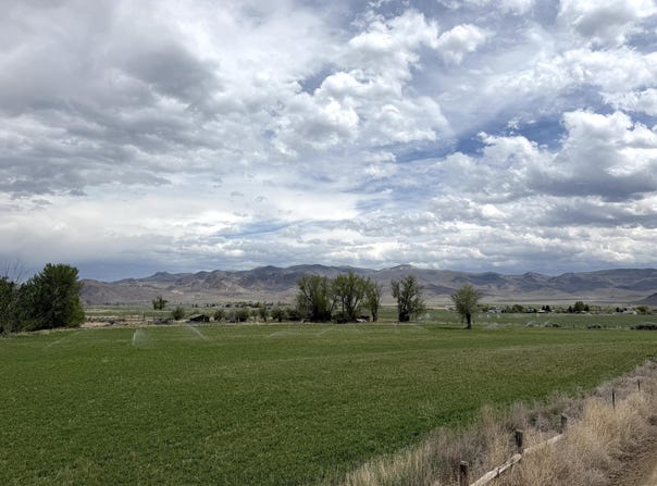 504 Lanier Rd, Challis, ID 83226