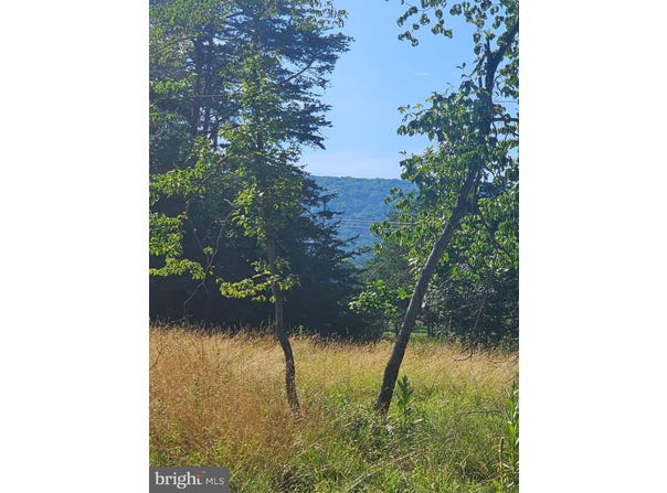 609 RUPPENTHAL, BERKELEY SPRINGS, WV 25411