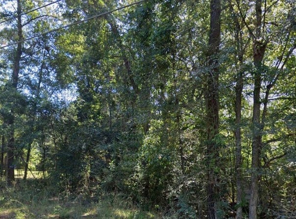 258 Co Rd 167, Stonewall, MS 39363