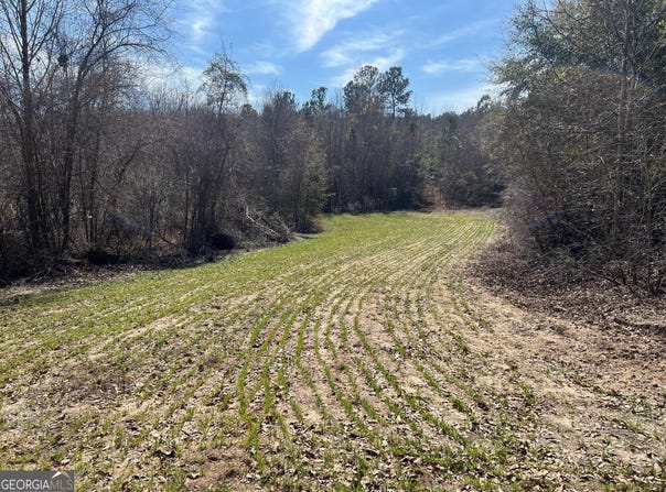 660 Brooks, Sandersville, GA 31082