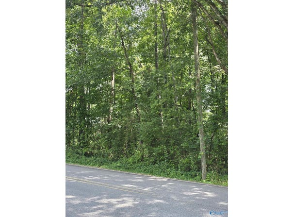 .46 Acres 10th Street NW, Arab, AL 35016