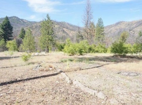 101 River Acres, Junction City, CA 96048