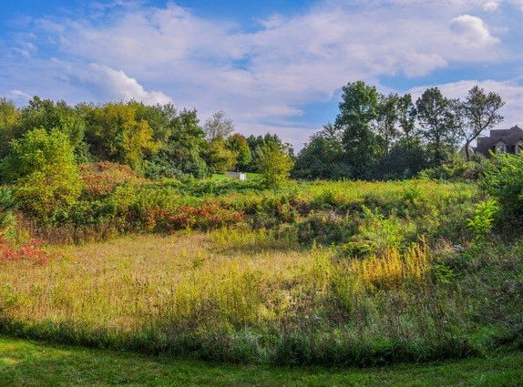 4353 Carlisle Drive, Crystal Lake, IL 60012