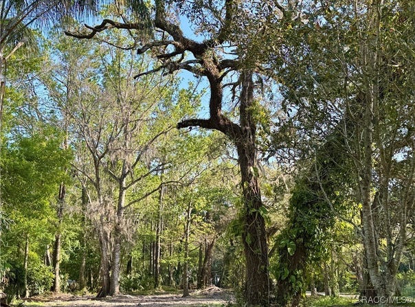 10600 and 10603 W Oliver Street, Homosassa, FL 34448