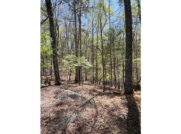 Lt1014 Gibe Court, Ellijay, GA 30540