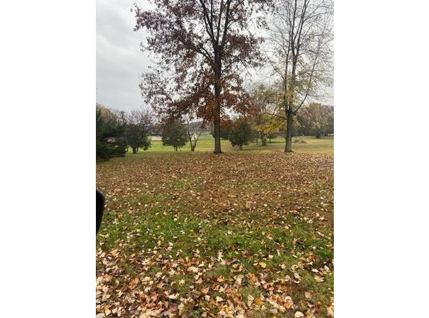 0 Duff Rd - Lot 10, Beaver Dam, KY 42320 Other for Sale - realestate.com.au