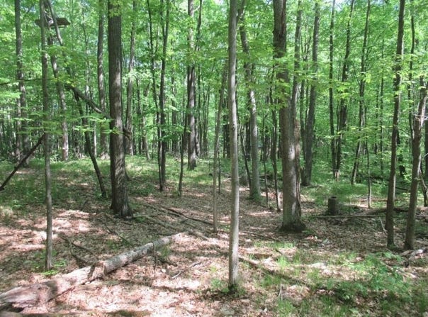 2360 Fawn, Harrison, MI 48625