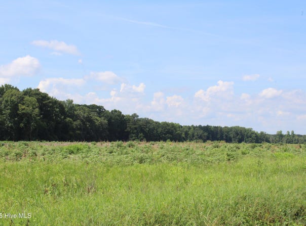 Lot 1 Whaley Road, Kinston, NC 28501