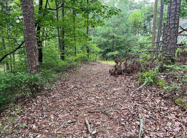 198 Log Round Mountain Trail, Ellijay, GA 30540