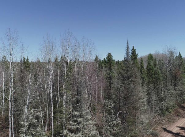 252 Acres Helen Lake Road, Republic, MI 49879