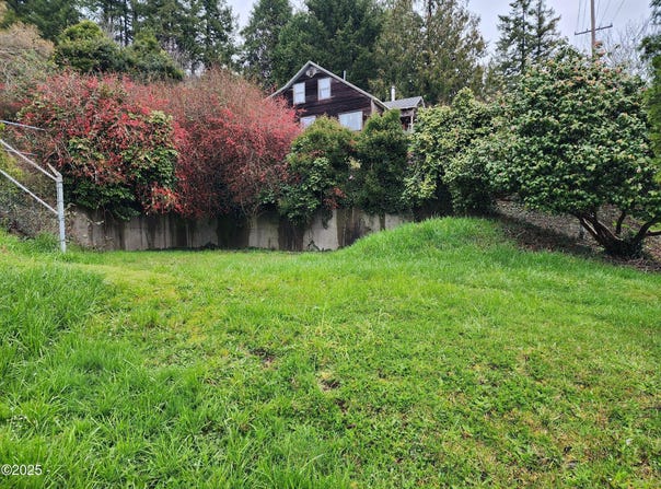 254 & 238 NE 3rd Street, Toledo, OR 97391