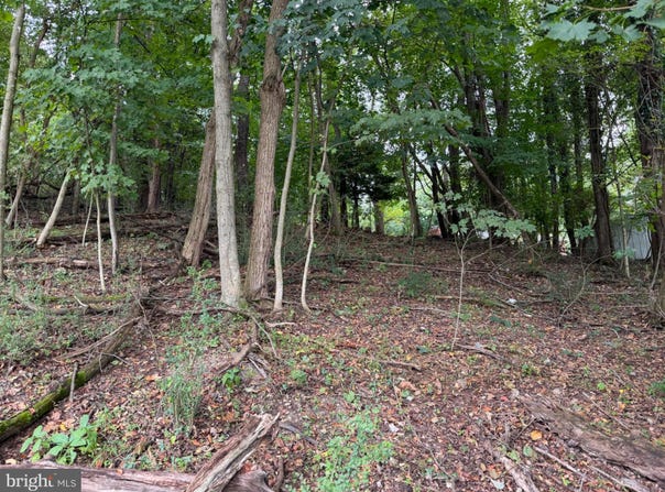 1151 MILLER Road, RIDGELEY, WV 26753