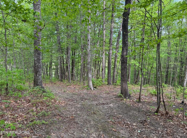 Slaven Ridge Rd, Jamestown, TN 38556