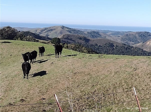 9500 Santa Rosa Creek Road, Templeton, CA 93465