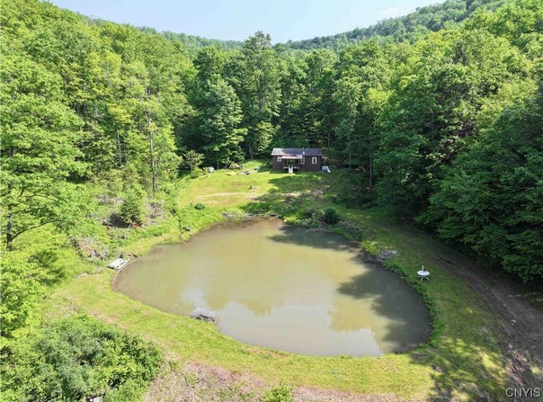 Indian Creek Road, Olean, NY 14760