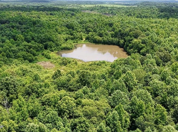 Ditney Hill Rd, Drakesboro, KY 42337