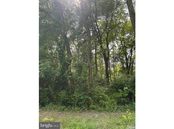 CHESTERVILLE FOREST ROAD, MILLINGTON, MD 21651