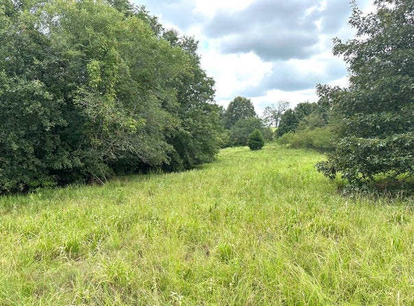 0001 E 1960 Rd, Antlers, OK 74523