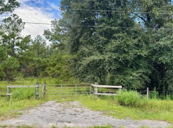 NE DUSTY MILLER AVENUE, Pinetta, FL 32350