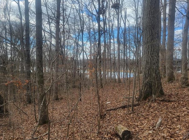 LAKESHORE CIR, BUMPUS MILLS, TN 37028