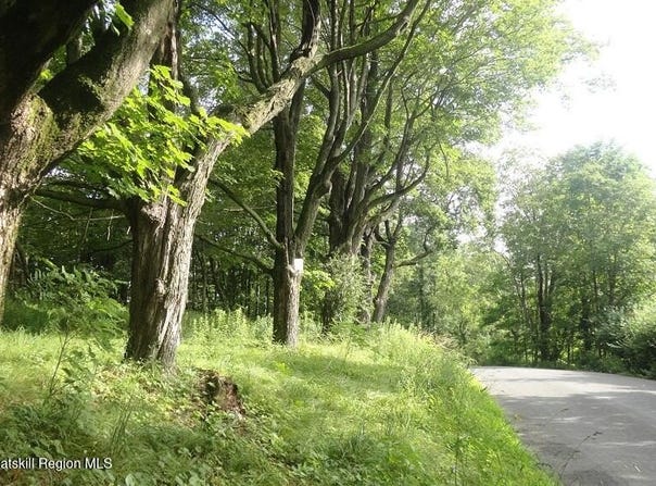 Henry Road, Cragsmoor, NY 12420