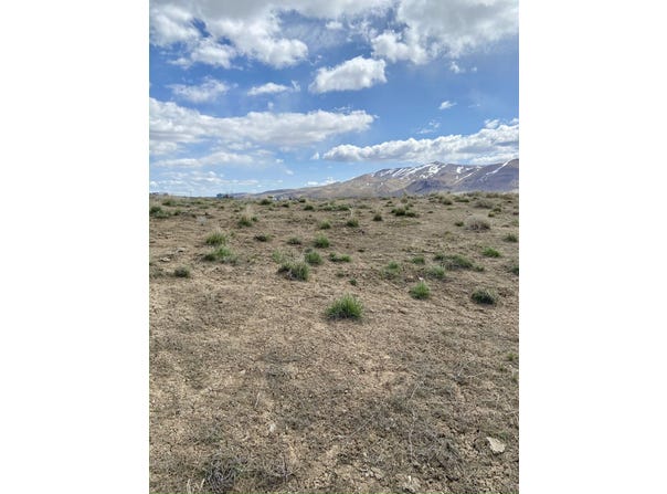 1 Acre Lance Drive, Elko, NV 89801