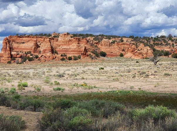 Red Rock Ranches lot: 17, Prewitt, NM 87345