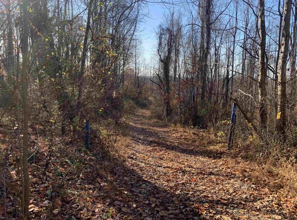Narrows Road, Philippi, WV 26416