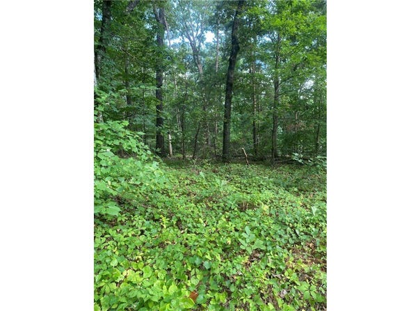 Windtree Ridge Road, Pickens, SC 29671