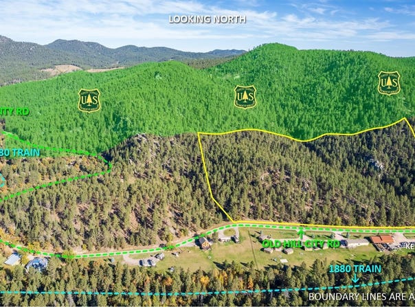 Lots 3 & 4 Old Hill City Road, Keystone, SD 57751