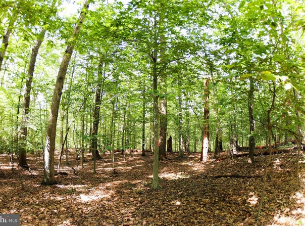 LAUREL Drive, ACCOKEEK, MD 20607