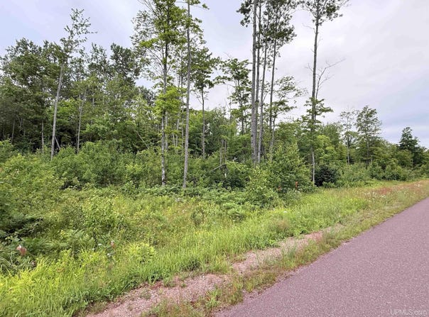 Unit 4 Greenway, Portage, MI 49931
